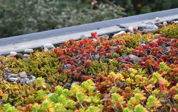 the cost of Wetheringsett green roof installation