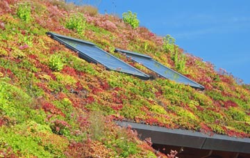 Wetheringsett living roof systems