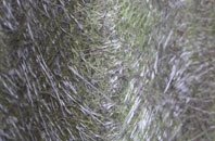 Wetheringsett fibreglass roof work